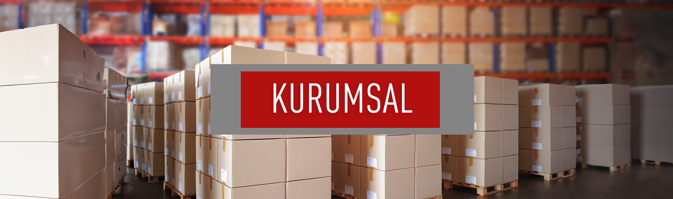 KCS Dış Ticaret Kurumsal
