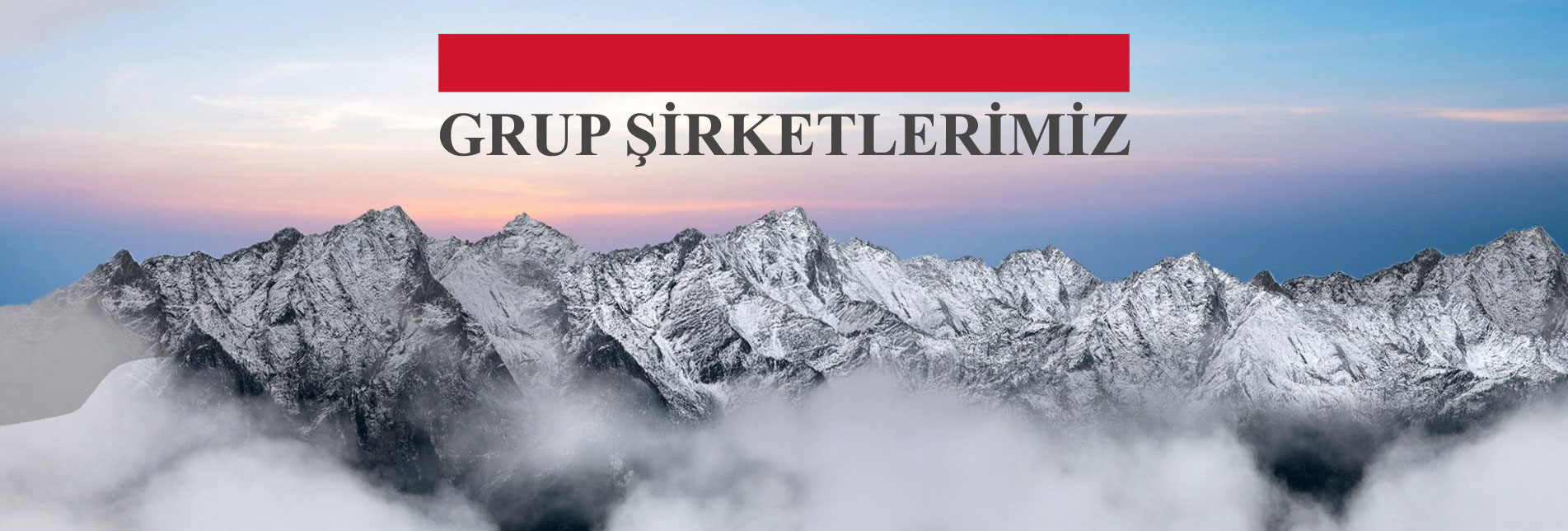 Grup Şirketlerimiz